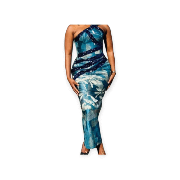 Exquisite dinner long dress